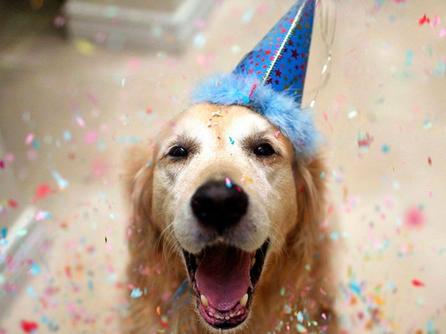 Día del Perro: las mascotas de nuestros oyentes