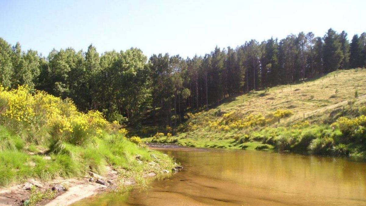 Villa Berna es una pequeña aldea suiza que se encuentra escondida entre las sierras cordobesas. Villa Berna es una pequeña aldea suiza que se encuentra escondida entre las sierras cordobesas.