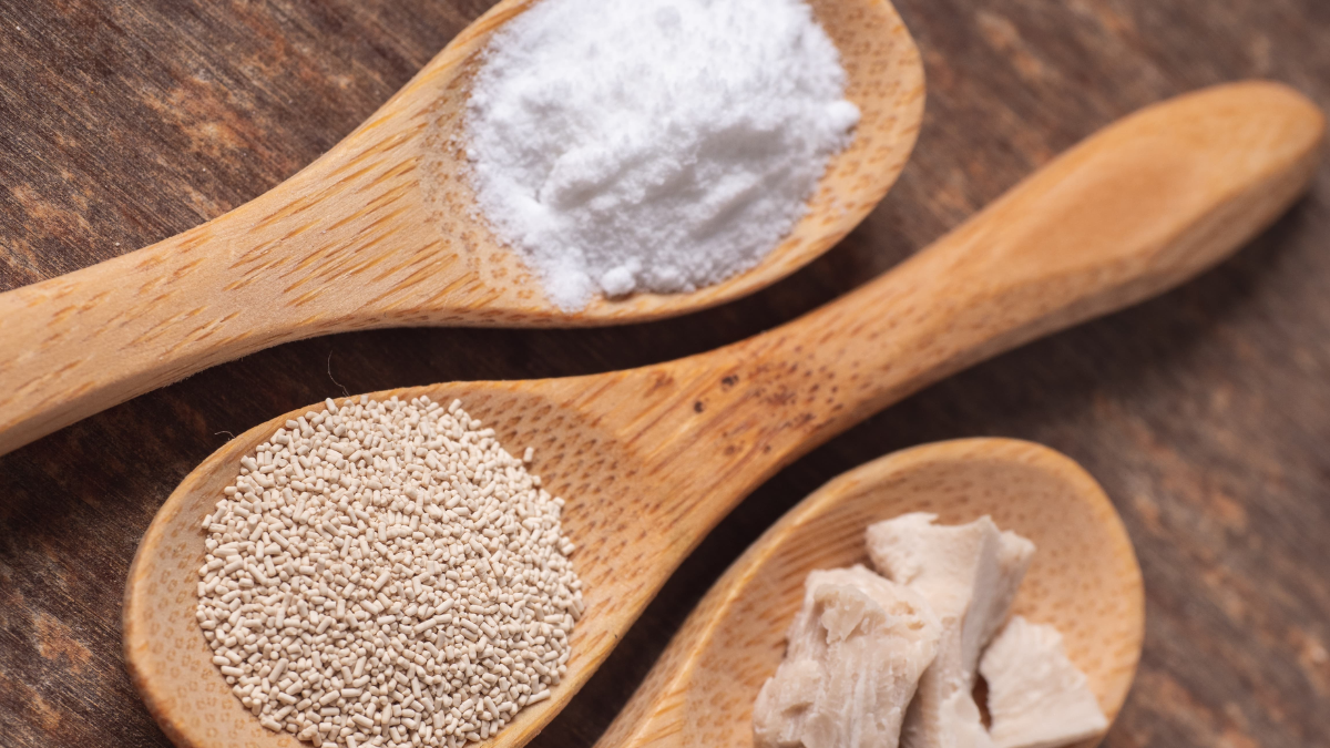 Diferencia entre el polvo para hornear y la levadura.