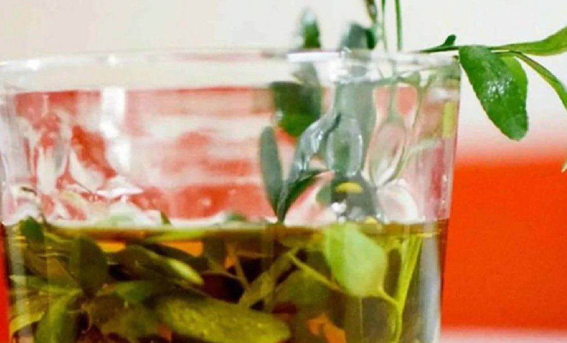 Día de la Pachamama: ofrendas