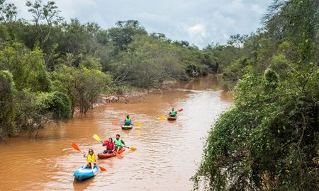 El parque más salvaje de Argentina que parece una sabana africana y se puede visitar gratis El parque más salvaje de Argentina que parece una sabana africana y se puede visitar gratis