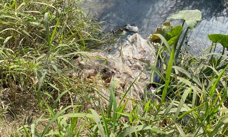 Los restos encontrados estaban en avanzado estado de descomposición. Los restos encontrados estaban en avanzado estado de descomposición.
