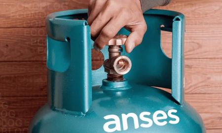 La ANSES volvió a incorporar este subsidio con el objetivo de brindar asistencia económica a las familias beneficiarias. La ANSES volvió a incorporar este subsidio con el objetivo de brindar asistencia económica a las familias beneficiarias.