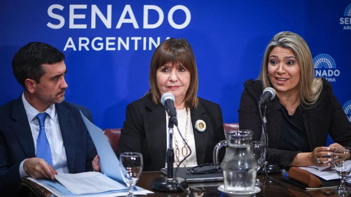 El oficialismo busca avanzar en el Senado con el proyecto de ley de inviolabilidad de la propiedad privada.