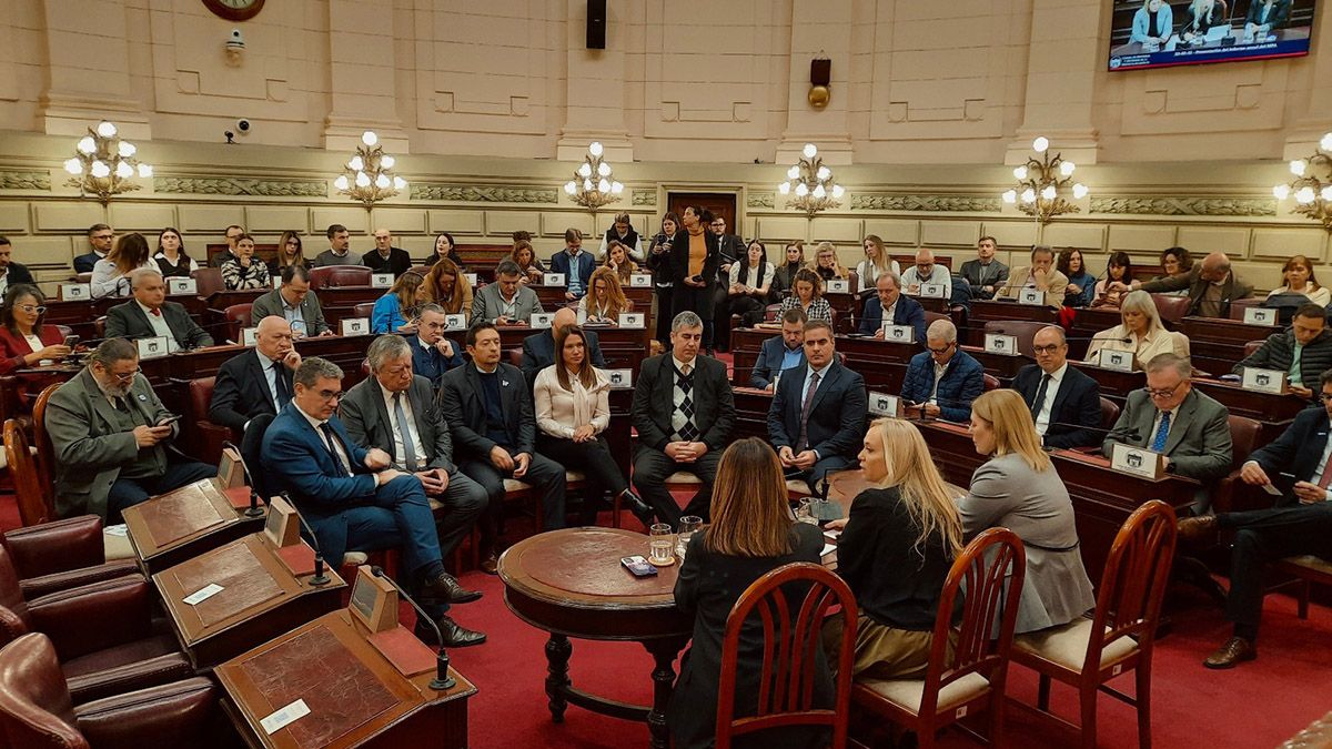 “El MPA debe ser un órgano extrapoder”, afirmó Vranicich en relación a la discusión que llevará adelante la convención reformadora de la Constitución de la provincia de Santa Fe. “El MPA debe ser un órgano extrapoder”, afirmó Vranicich en relación a la discusión que llevará adelante la convención reformadora de la Constitución de la provincia de Santa Fe.