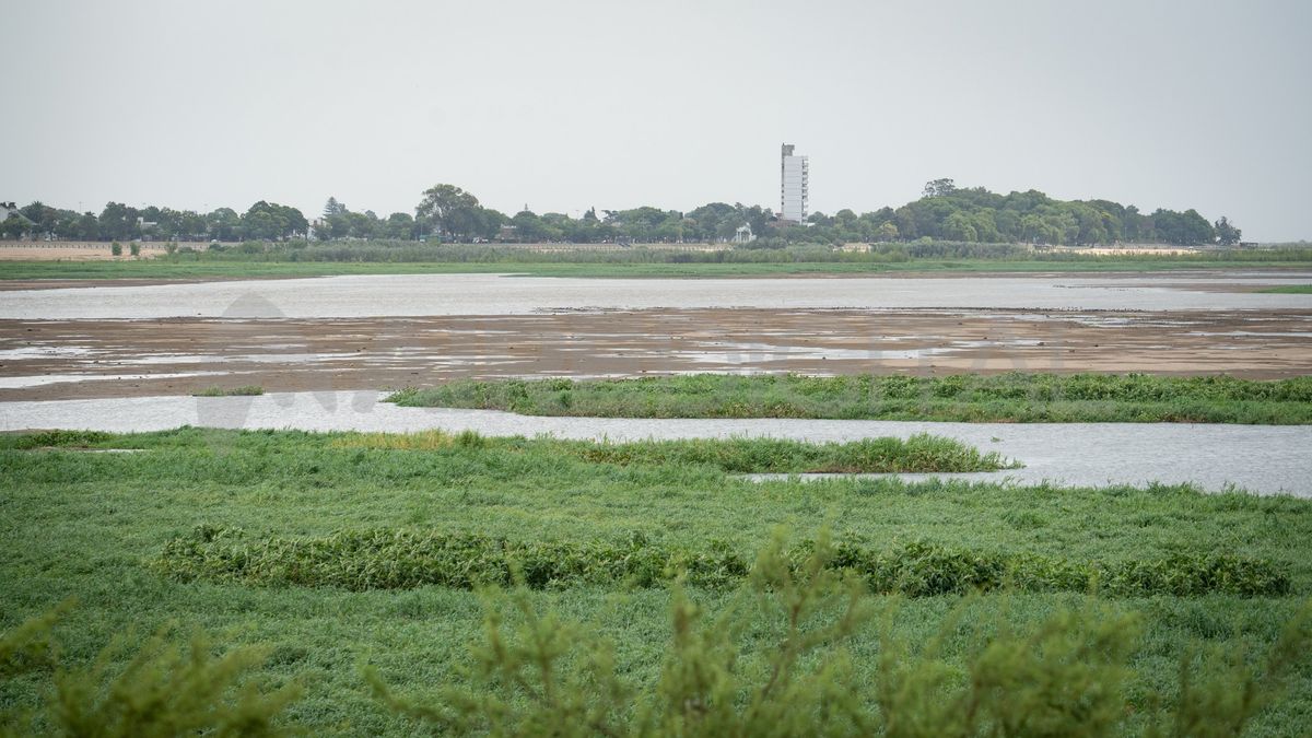 Aseguran que en Santa Fe, el río está con 77 centímetros por encima de lo que estaba hace un año atrás. 