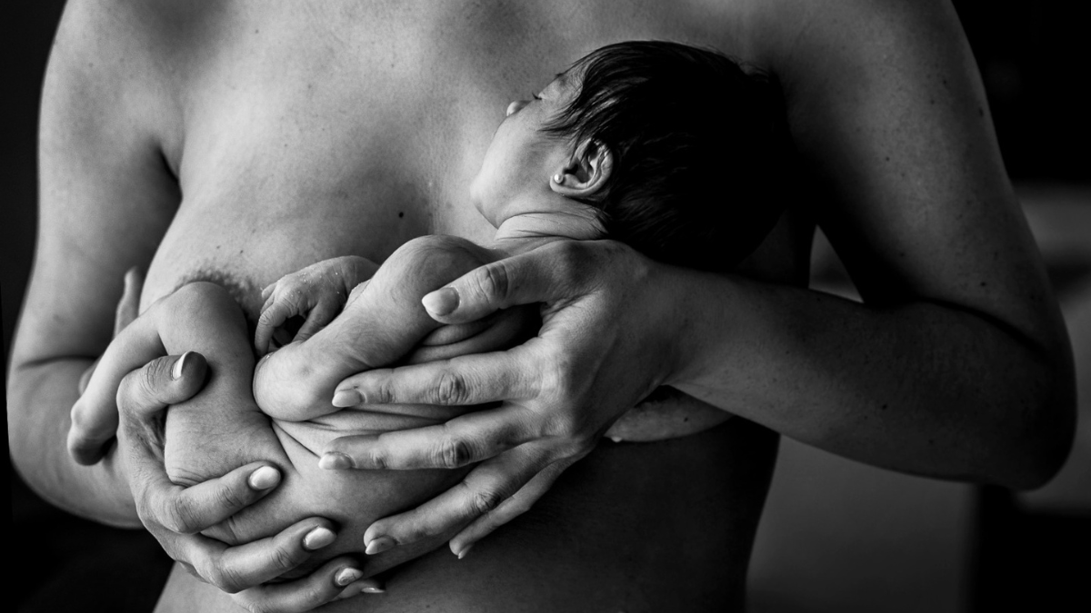 Muestra fotográfica Muestra fotográfica