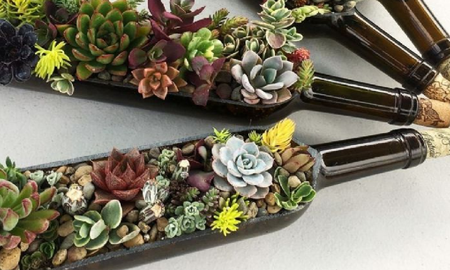 Macetas para suculentas con botellas de vino Macetas para suculentas con botellas de vino