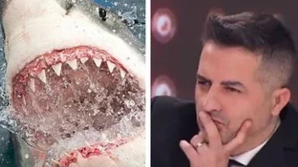 Ángel de Brito zafó de ser atacado por un tiburón en Miami