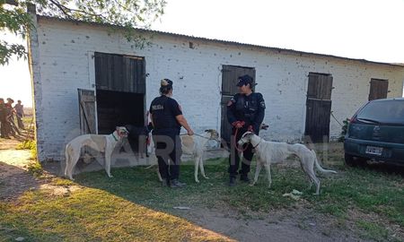 Aire de Santa Fe | galgos 02.jpg
