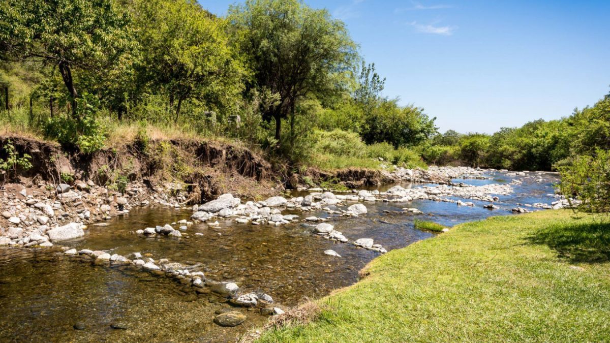 La localidad de Luyaba es reconocida por su producción de hierbas aromáticas y medicinales. La localidad de Luyaba es reconocida por su producción de hierbas aromáticas y medicinales.