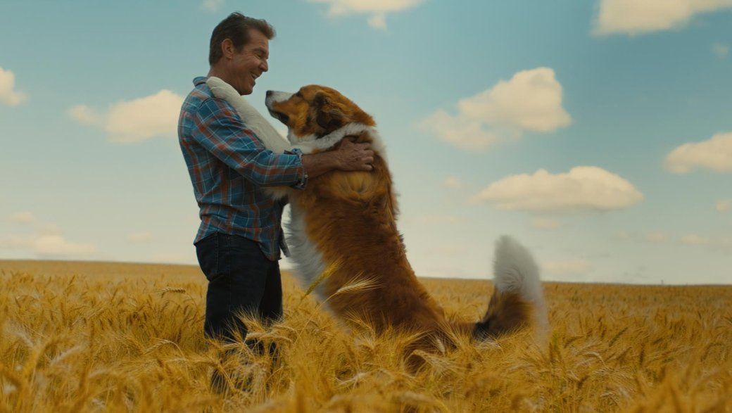 Teoría: las pruebas de que existe la reencarnación