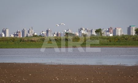 video: la belleza de los humedales de una ciudad rodeada de agua video: la belleza de los humedales de una ciudad rodeada de agua