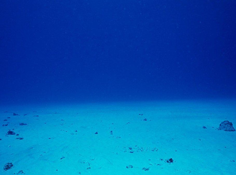 Científicos descubren una burbujeante fuente de dióxido de carbono en el fondo del mar