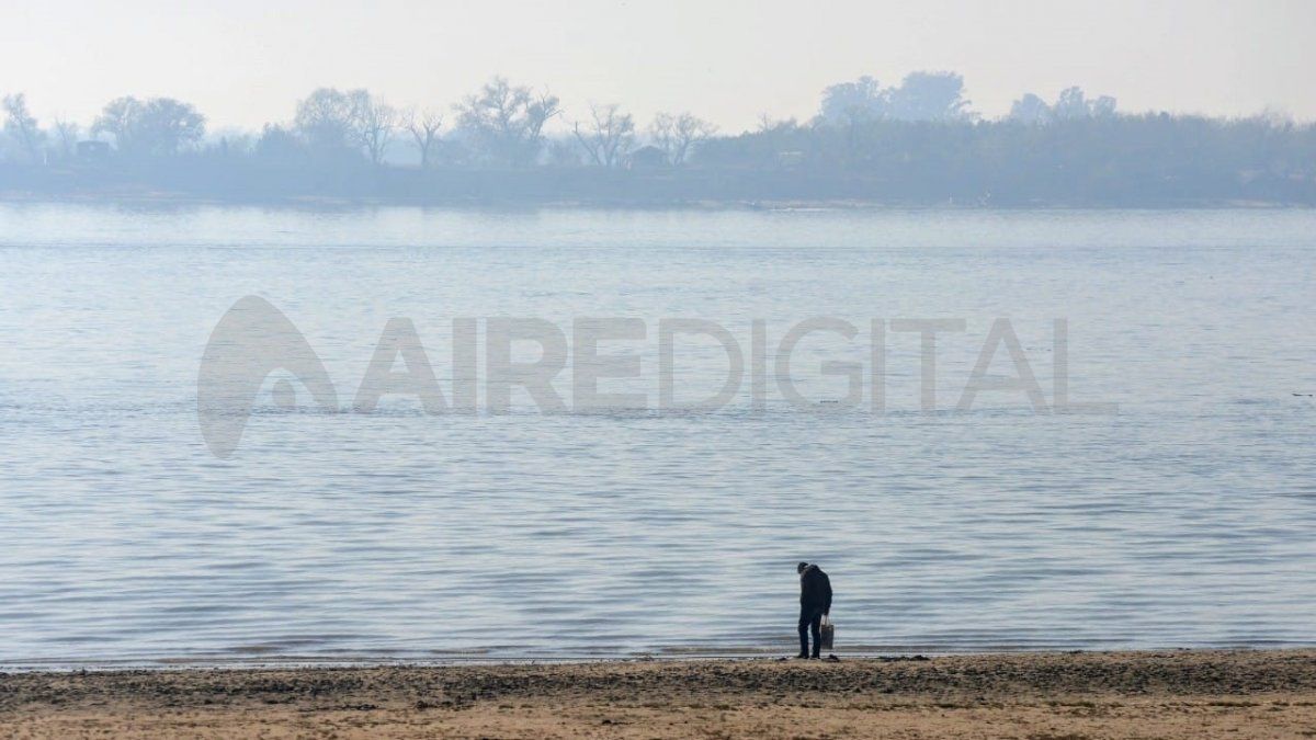 "El número de incendios en la zona de Rosario registrados en los distintos días del mes de julio muestran una relación directa en el día del valor máximo mensual con el incremento del número de partículas microscópicas en la atmósfera, denominadas aerosoles" detallaron los expertos en su informe.