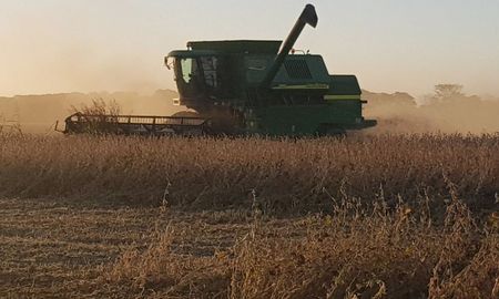 El campo hace un nuevo intento para que se mantenga la rebaja de retenciones a la soja. El campo hace un nuevo intento para que se mantenga la rebaja de retenciones a la soja.