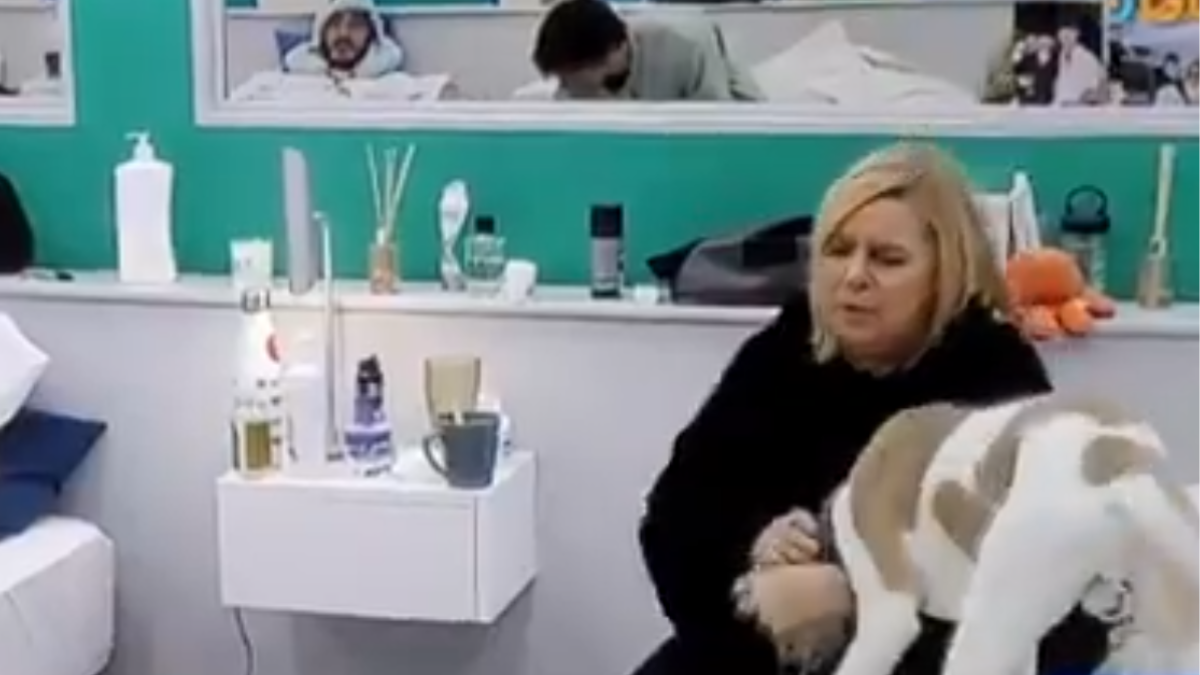 Virginia de Gran Hermano le pidió disculpas a Arturo luego de insultarlo. Virginia de Gran Hermano le pidió disculpas a Arturo luego de insultarlo.