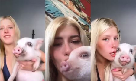 Camila Lattanzio, de Gran Hermano, fue acusada de usar a su mascota para conseguir canjes y no cumplirlos Camila Lattanzio, de Gran Hermano, fue acusada de usar a su mascota para conseguir canjes y no cumplirlos