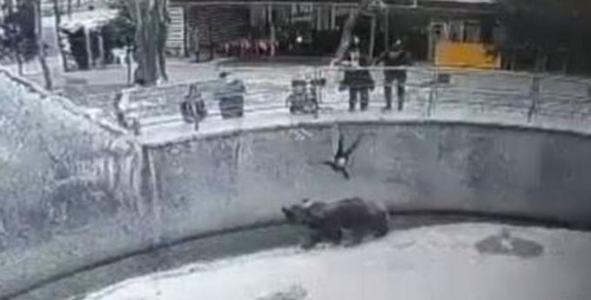 Una mujer arrojó a su hija de tres años a la jaula de un oso en un zoológico de Uzbekistán