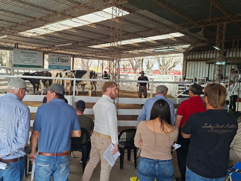La Lehmann celebró 50 años de remates en la Feria de Sarmiento con un homenaje a su historia ganadera