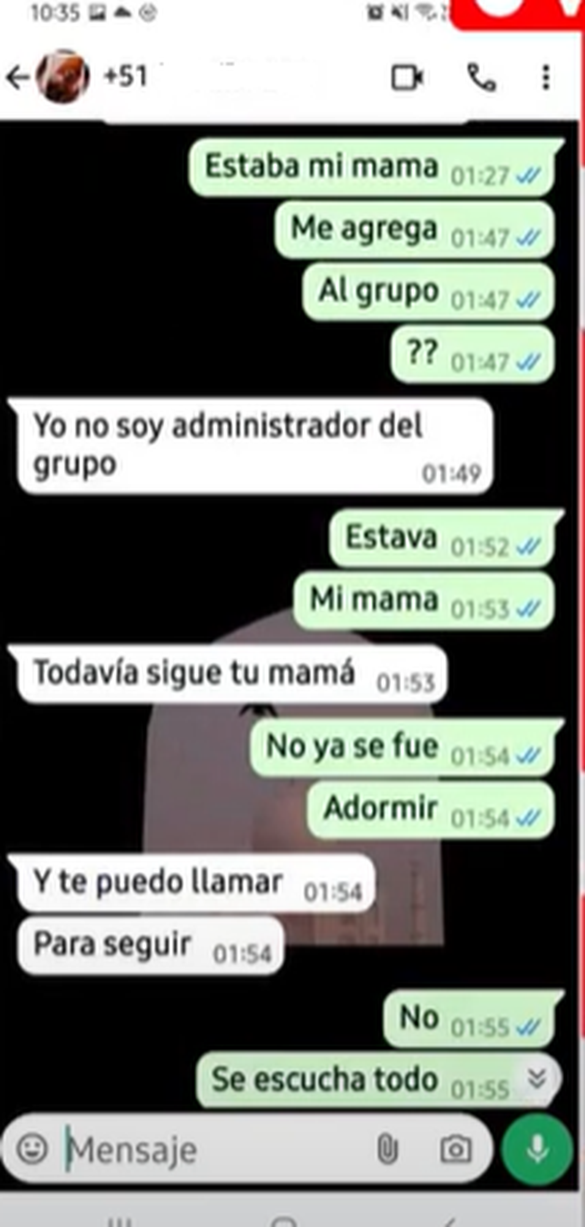 Los chats de la madre del menor haciéndose pasar por su hijo. Los chats de la madre del menor haciéndose pasar por su hijo.