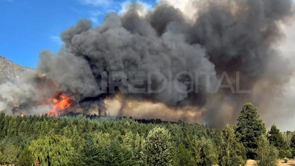 Brigadistas y Bomberos continuaban este viernes combatiendo un incendio fuera de control