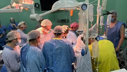 altText(Donación de órganos: más de 500 santafesinos están en lista de espera)}