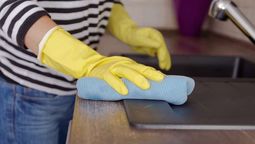 Empleadas domésticas: cuánto cobran en marzo 2025.