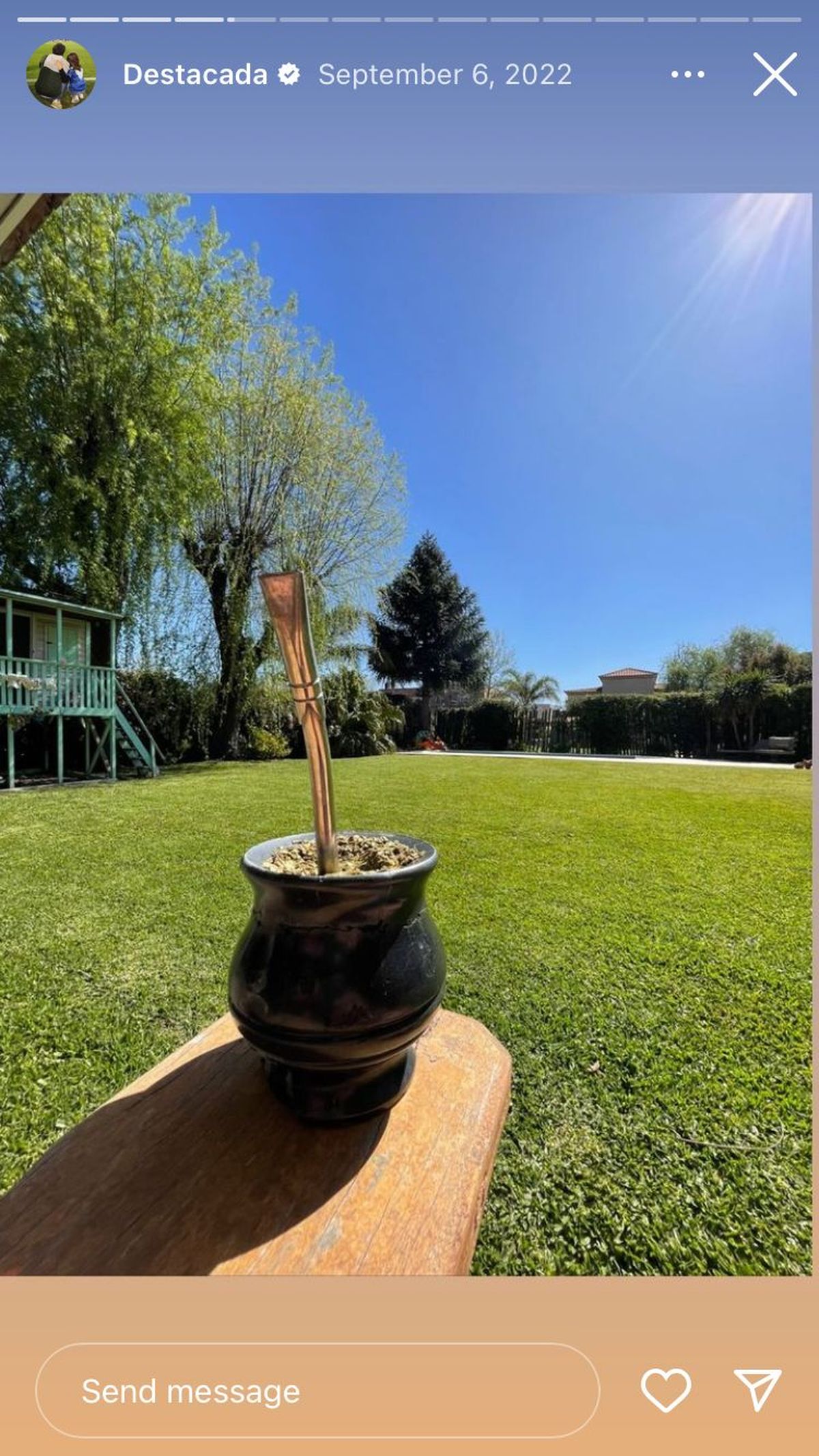El patio de Nicolás Cabré tiene una casa del árbol de color verde agua en donde juega su hija que comparte con la China Suárez, Rufina. 