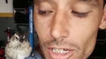 El pajarito cordobés que reparte soda y es furor en las redes