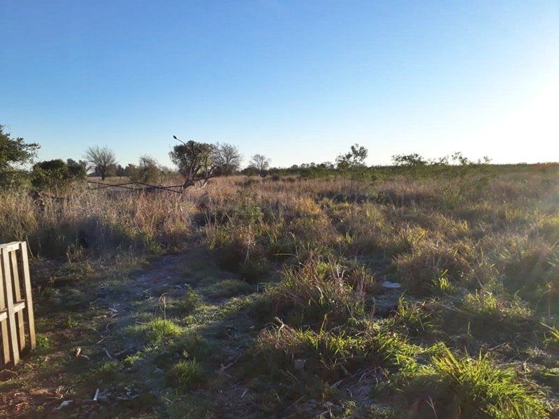 Consternación y reclamos de justicia tras la trágica muerte de Dieguito