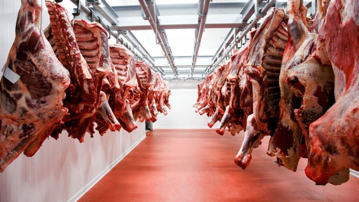 El gobierno anunció el martes la suspensión de exportaciones de carne y el campo anunció un paro. 