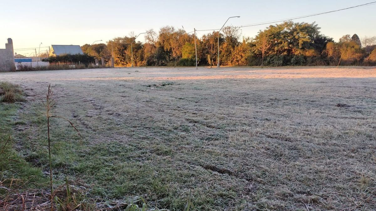 Los campos blancos de Ángel Gallardo.