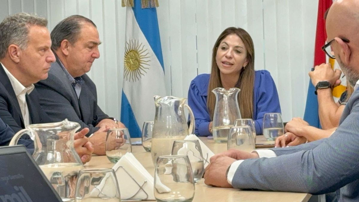 Seis empresas presentaron ofertas para la construcción de la nueva estación transformadora en el barrio Mayoraz.
