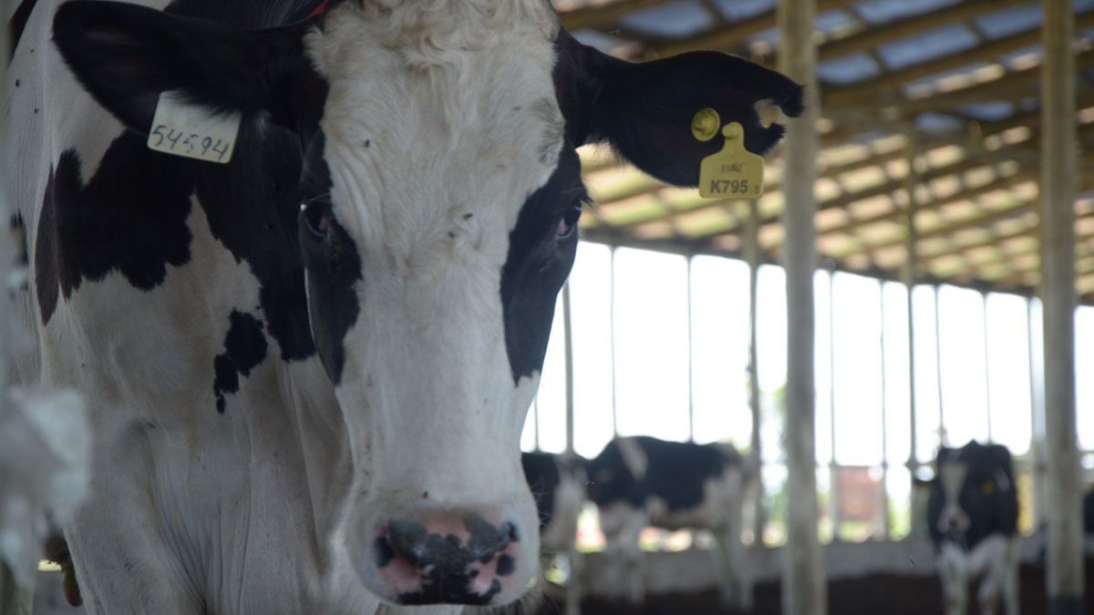 La línea crediticia, que se estableció como una de las acciones más importantes dentro del programa Santa Fe de Pie, estuvo vigente hasta el mes pasado.