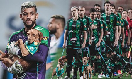 El América Mineiro de Brasil, donde juega Germán Conti, salió a la cancha con perros que no tienen hogar. Es una medida para promover la adopción de animales y brindar una nueva vida a los cachorros. El América Mineiro de Brasil, donde juega Germán Conti, salió a la cancha con perros que no tienen hogar. Es una medida para promover la adopción de animales y brindar una nueva vida a los cachorros.