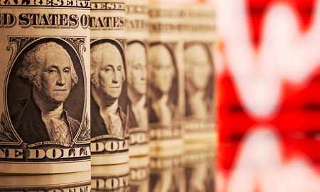 El decreto instruye a los organismos del Estado a canjear los bonos en dólares por instrumentos en pesos. El decreto instruye a los organismos del Estado a canjear los bonos en dólares por instrumentos en pesos.