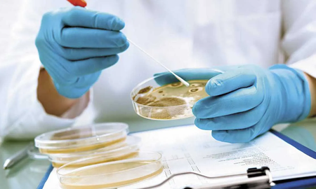Detectan y contienen brote de una bacteria resistente a todas las drogas en Argentina Detectan y contienen brote de una bacteria resistente a todas las drogas en Argentina