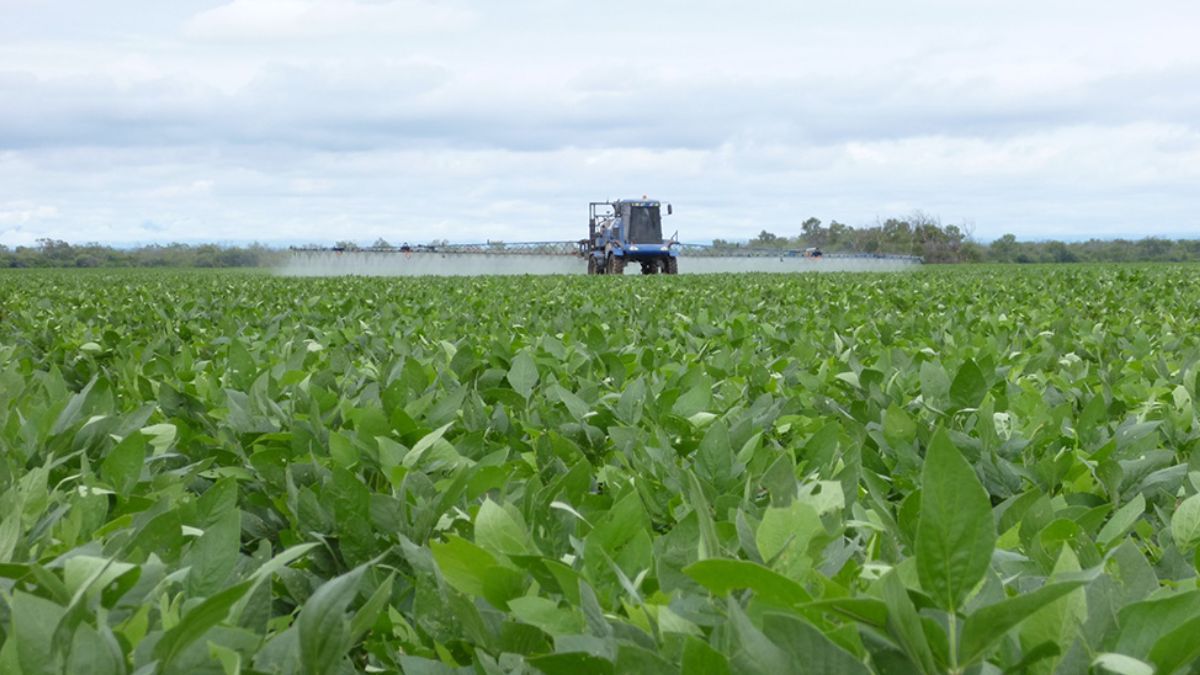 Surcos es una empresa proveedora de soluciones innovadoras para la protección y nutrición vegetal de los cultivos agrícolas.