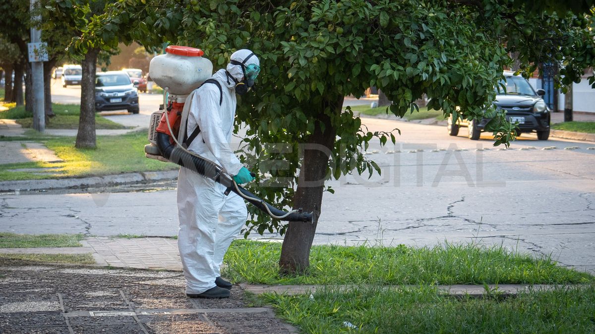 Las tareas de prevención se llevan adelante en coordinación entre el área de salud y los municipios. Las tareas de prevención se llevan adelante en coordinación entre el área de salud y los municipios.