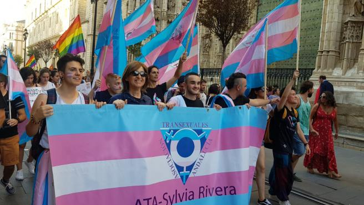 El D&iacute;a Internacional de la Visibilidad Transg&eacute;nero es una conmemoraci&oacute;n anual dedicada a la celebraci&oacute;n de las personas transg&eacute;nero y a la sensibilizaci&oacute;n en contra de la discriminaci&oacute;n hacia las personas trans en todo el mundo.