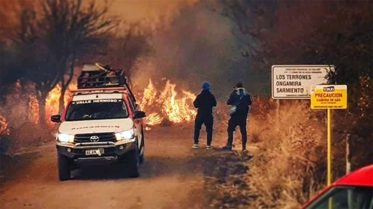Son más de 40.000 las hectáreas productivas arrasadas por los incendios&nbsp;registrados en las últimas dos semanas.