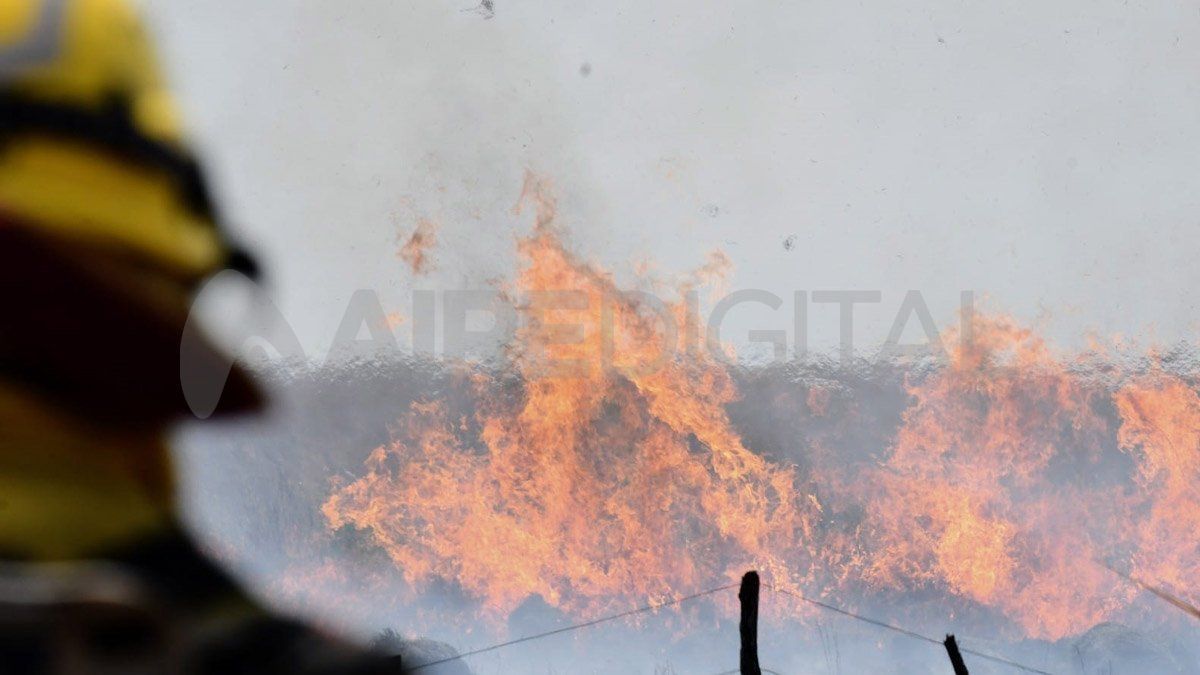 El calentamiento global agravó el impacto de los incendios que arrasaron el Delta del Paraná.