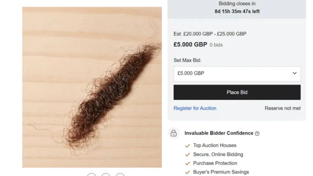 Un mech&oacute;n de la rasta de Bob Marley sale a subasta con una base de 33.000 d&oacute;lares.