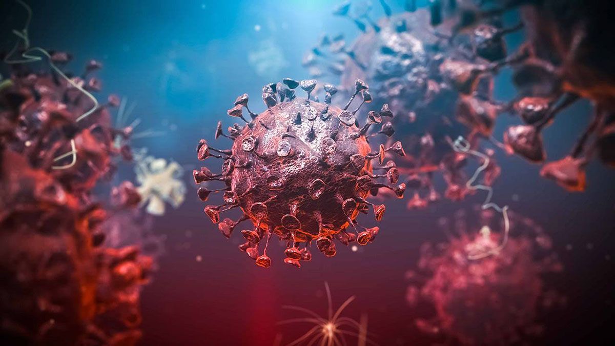 El nivel de anticuerpos que tienen las personas que desarrollaron coronavirus en el Reino Unido está disminuyendo rápidamente.