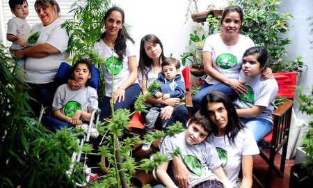 la ministra frederic analizo cambios en la ley de autocultivo de cannabis para uso medicinal la ministra frederic analizo cambios en la ley de autocultivo de cannabis para uso medicinal