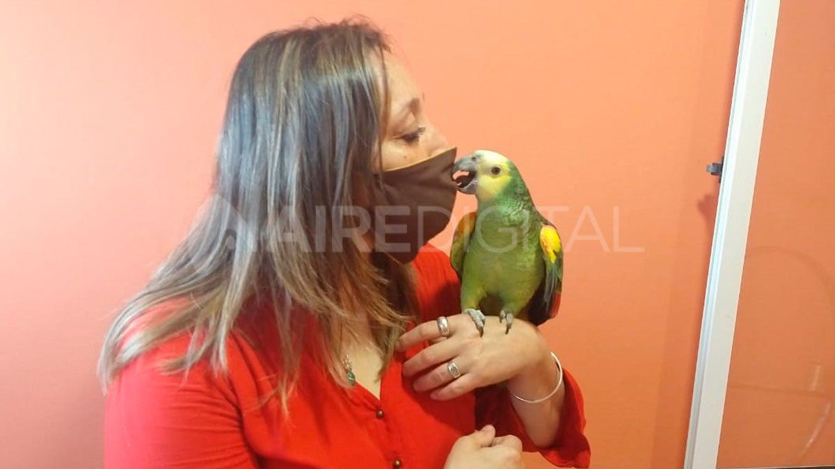 Ya con la tranquilidad de tenerlo de nuevo en casa