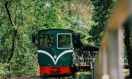 El Tren Ecológico de la Selva ofrece una conexión única con la naturaleza misionera en un recorrido sin igual. El Tren Ecológico de la Selva ofrece una conexión única con la naturaleza misionera en un recorrido sin igual.