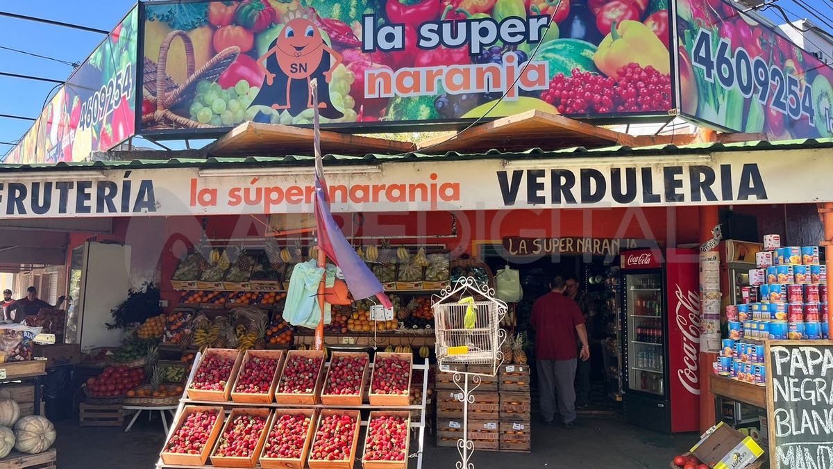 La verdulería es la casa del canario Gardelito. La verdulería es la casa del canario Gardelito.