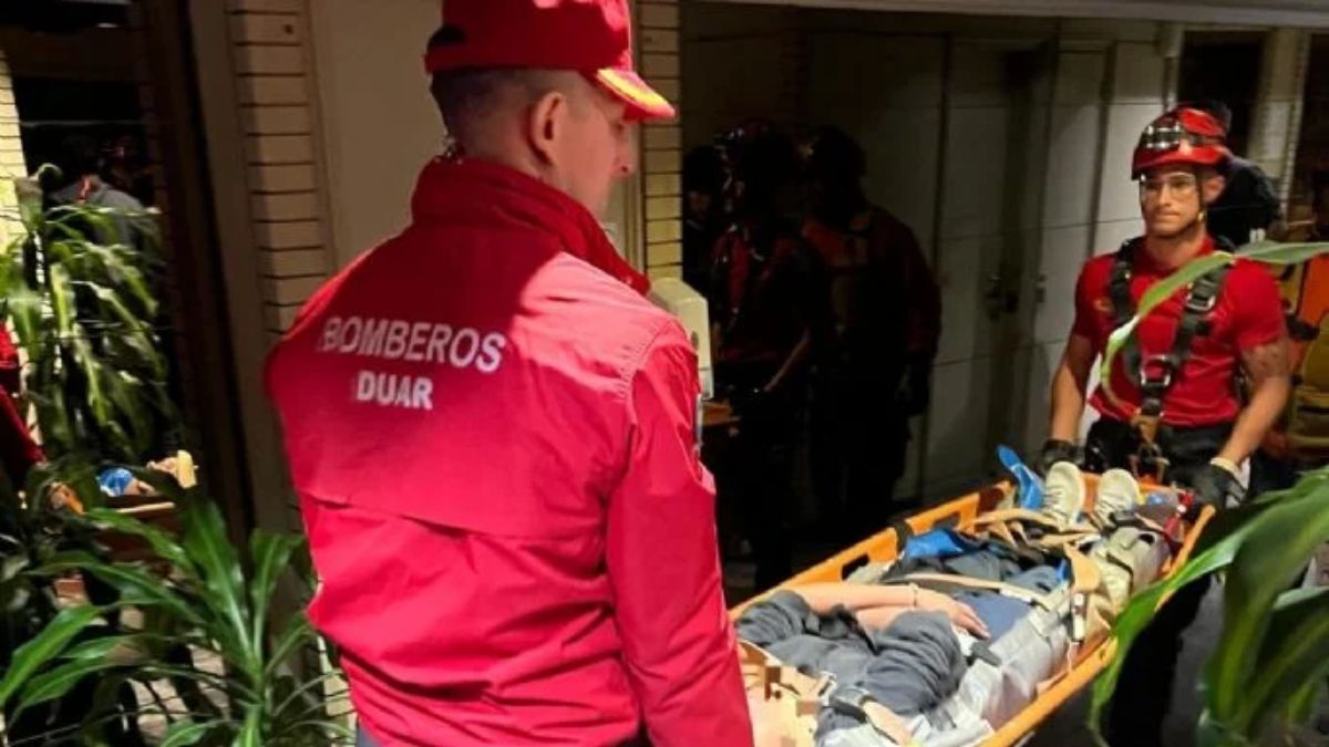 Los bomberos rescataron a la mujer y a su gato tras el accidente.
